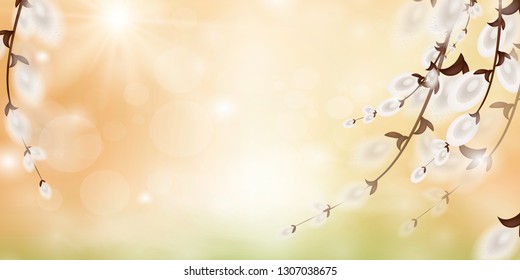 Vector easter card. Abstract spring background.
Nature background with a  willow branches and sun.
Spring branches.

