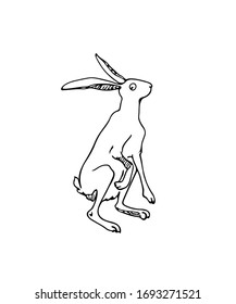 Vector Easter card with hand drawn sweet sitting hare. Perfect design elements, beautiful animal illustration, ink drawing