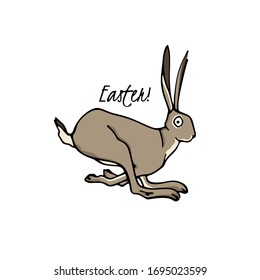 Vector Easter card with hand drawn running sweet hare. Perfect design elements, beautiful animal illustration, ink drawing