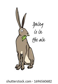 Vector Easter card with hand drawn sweet hare eating greens. Perfect design elements, beautiful animal illustration, ink drawing