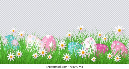 vector easter holiday template on transparent background with spring festive elements - decorated eggs at green grass meadow, daisy flowers for your design. Illustration on green background