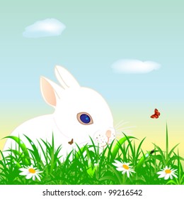 vector of a easter little rabbit on a meadow