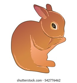 Bunny Praying Images, Stock Photos & Vectors | Shutterstock