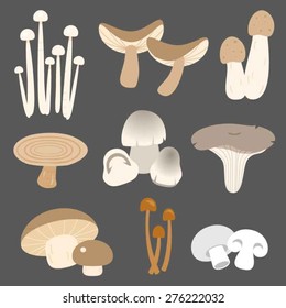 Vector eatable thai mushroom in flat style