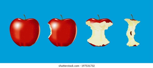 Vector of Eaten apple on blue background