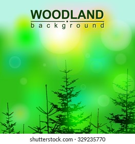  Vector eco banner with lights and coniferous trees. Can be used as poster, background, backdrop, label of mineral water... Eps 10.