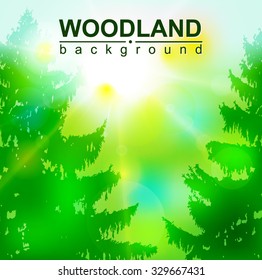  Vector eco banner with sun rays and coniferous trees. Can be used as poster, background, backdrop, label of mineral water... Brightly. Eps 10.