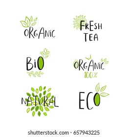 Vector eco, bio green logo or sign. Vegan  healthy food badge, tag for cafe, restaurants, products packaging. Hand drawn leaves, branches, plant elements with lettering. Organic design template.