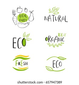 Vector eco, bio green logo or sign. Vegan  healthy food badge, tag for cafe, restaurants, products packaging. Hand drawn leaves, branches, plant elements with lettering. Organic design template.