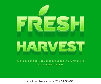 Vector eco concept Fresh Harvest. Stylish Green Font. Trendy Alphabet Letters and Numbers set.