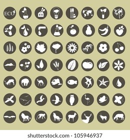 Vector eco concept icons