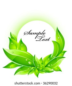 Vector Eco Concept with Leafs surrounding Your Text