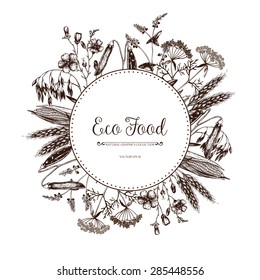 Vector Eco food card design with ink hand drawn agriculture plants sketch. Vintage farm plants illustration. Farm fresh background