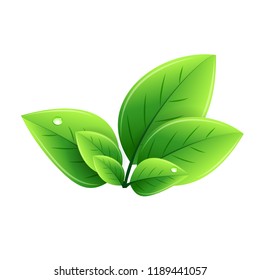 Vector eco green leaves. Abstract ecology design element