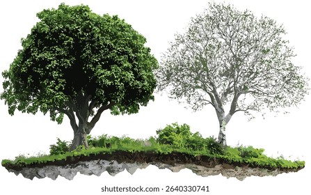 Vector eco life large trees environmental cutout transparent backgrounds, nature, green, clean energy, sustainability, forest, eco friendly, nature protection, natural resources