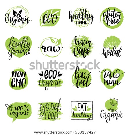 Vector eco, organic, bio logos or signs. Vegan, healthy food illustrations set  for cafe, restaurant badges, tags, packaging etc.