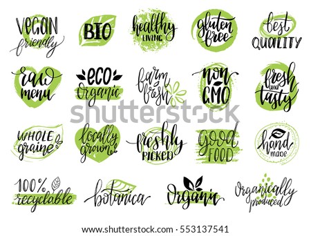 Vector eco, organic, bio logos or signs. Vegan, healthy food illustrations set  for cafe, restaurant badges, tags, packaging etc.