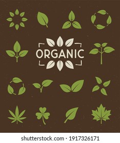 Vector Eco, organic icons set. Biodegradable, compostable, recycle concept. Leaf icons isolated on brown background. 14 Leaves icons for logo, badge, label design. Go green, Sustainable environment. 