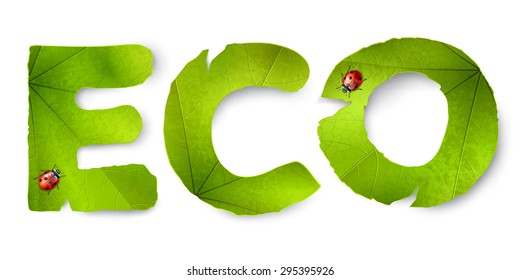 Vector eco word, made from green leaves, isolated on white