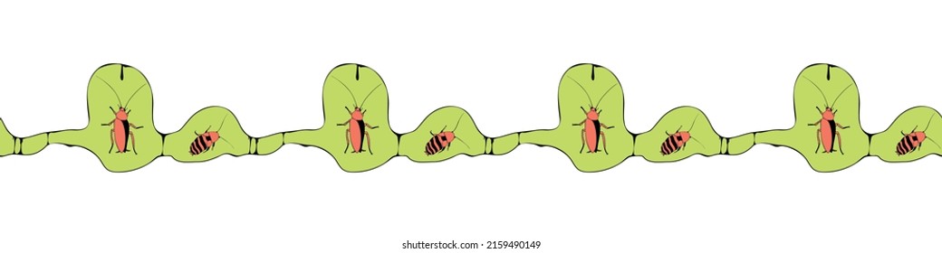 Vector edging, ribbon, border of oriental and madagascar cockroaches, beetles. Nasty unpleasant insects harmful to humans. Seamless pattern, ornament, decorative element for insects design, Pest contr