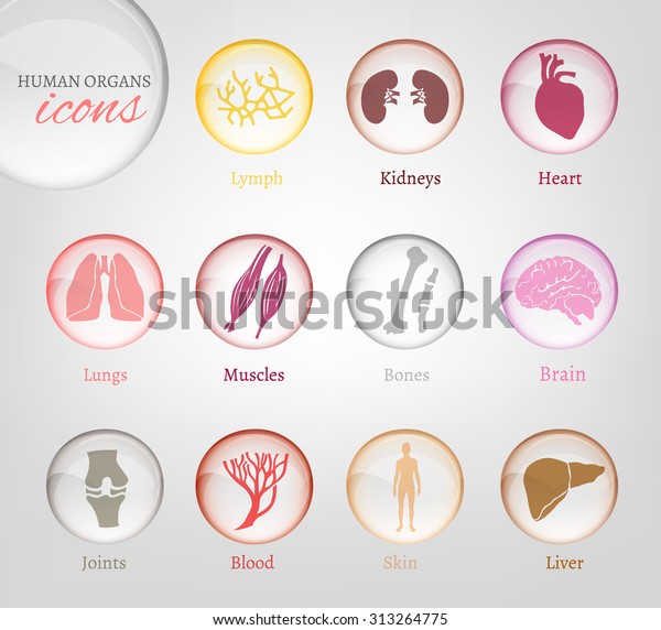 Vector editable collection of human body\
parts icons. Blood in transparent glossy style. Useful for\
inforchart and\
infographic