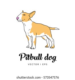 Vector editable colorful image depicting a cute pit bull puppy dog. Isolated on a white background. 