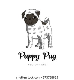 Vector editable colorful image depicting a Pug puppy dog. Isolated on a white background. 