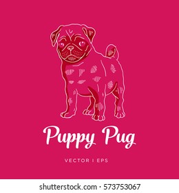 Vector editable colorful image depicting a Pug puppy dog. White outline drawing on a purple background. 