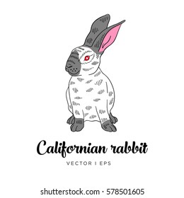 Vector editable colorful image depicting a cute Californian rabbit on a white background. Hand drawn sketch of bunny.