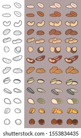 Vector editable line designed nuts icons