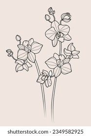 Vector editable line stroke design of two orchid flowers