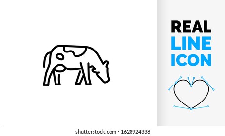 Vector editable real line icon of a side view cow or bull domestic animal grazing for meat and milk industry full body image of livestock farm as line art in a black stroke style on a white background