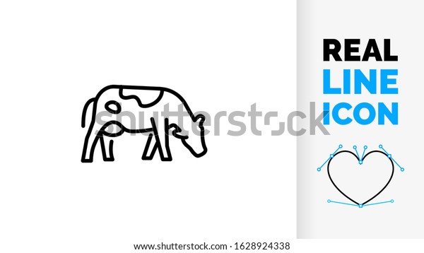 Vector editable real line icon of a side view\
cow or bull domestic animal grazing for meat and milk industry full\
body image of livestock farm as line art in a black stroke style on\
a white background