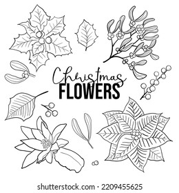 Vector editable set of hand drawn Christmas decoration plants and flowers. Perfect for greeting cards, Christmas email, gift tags etc.