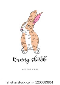 Vector editable sketch of a cute rabbit on a white background. Hand drawn sketch of a lovely brown bunny.