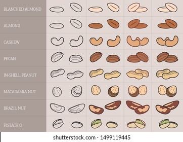 Vector editable stroke designed various nut icons