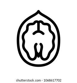 Vector editable stroke line designed walnut icon