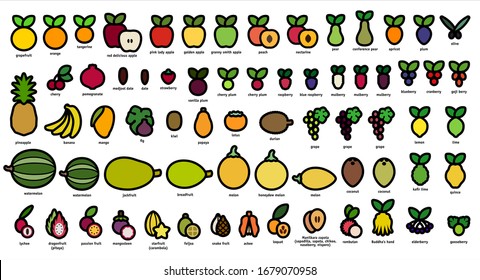 Vector editable stroke line designed icons of all common and exotic fruits