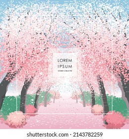 Vector editorial design frame of Korean spring scenery with cherry trees in full bloom. Design for social media, party invitation, Frame Clip Art and Business Advertisement	