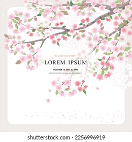 Vector editorial design frame of Korean spring scenery with cherry trees in full bloom. Design for social media, party invitation, Frame Clip Art and Business Advertisement