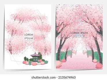 Vector editorial design frame set of Korean spring scenery with cherry trees in full bloom. Design for social media, party invitation, Frame Clip Art and Business Advertisement	