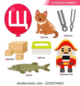 Vector education material Russian Alphabet. Set of cute cartoon illustrations. Inscriptions in Russian: Russian alphabet, puppy, tongs, sherbet, brush, pike, nutcracker.
