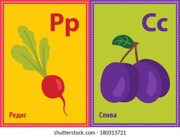 Vector educational cards with Cyrillic alphabet letters in A5 format. Radish, plum.
