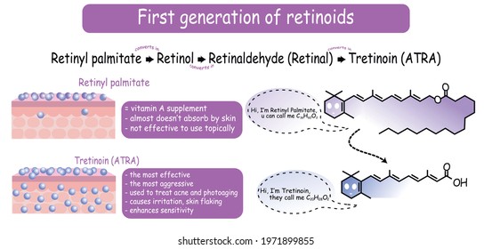 Vector educative scientific medical dermatology scheme types vitamin A metabolism chain. First generation of retinoid retinol tretinoin chemical treatment infographic with molecular formula skin build