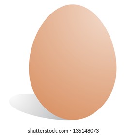 Vector egg