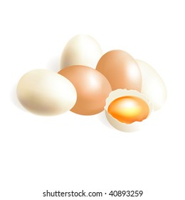vector egg