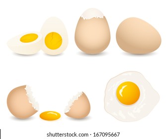 vector  egg collection isolated on white background