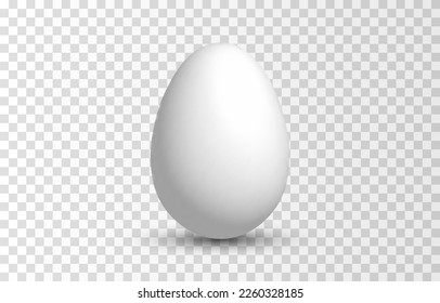 Vector egg png. Realistic egg on isolated transparent background. Easter.
