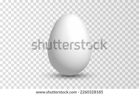 Vector egg png. Realistic egg on isolated transparent background. Easter.