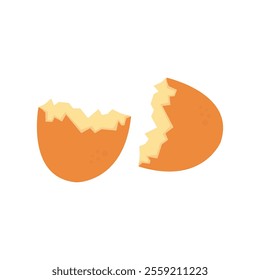 vector egg shell that has been broken and split in two